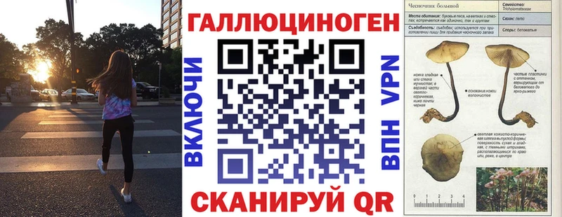 Псилоцибиновые грибы мухоморы как найти наркотики Разумное